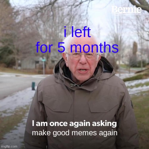 please | i left for 5 months; make good memes again | image tagged in memes,bernie i am once again asking for your support | made w/ Imgflip meme maker