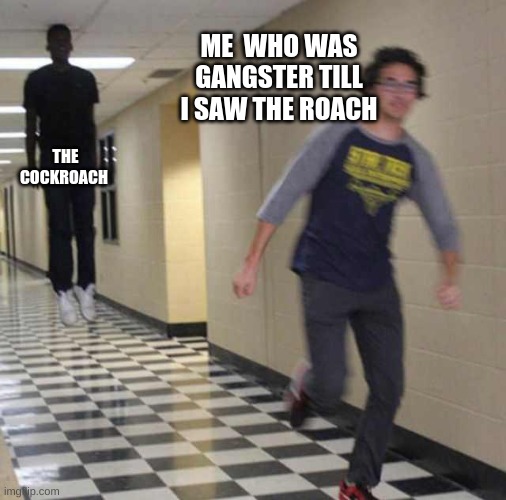 we all gangster till we see a cockroach | ME  WHO WAS GANGSTER TILL I SAW THE ROACH; THE COCKROACH | image tagged in floating boy chasing running boy | made w/ Imgflip meme maker