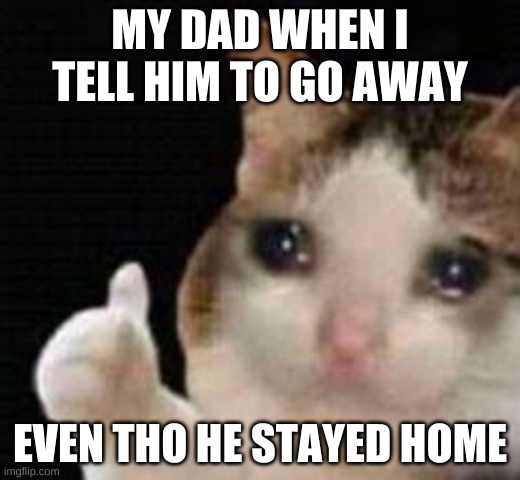 dad | MY DAD WHEN I TELL HIM TO GO AWAY; EVEN THO HE STAYED HOME | image tagged in approved crying cat | made w/ Imgflip meme maker