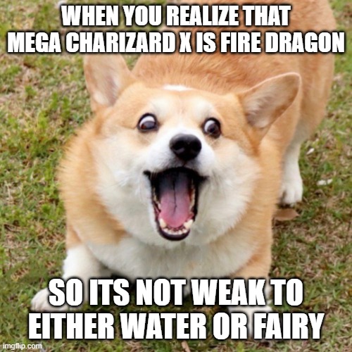 Gensaku The Corgi | WHEN YOU REALIZE THAT MEGA CHARIZARD X IS FIRE DRAGON; SO ITS NOT WEAK TO EITHER WATER OR FAIRY | image tagged in gensaku the corgi | made w/ Imgflip meme maker