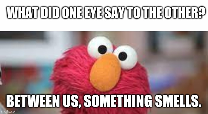 Eye | WHAT DID ONE EYE SAY TO THE OTHER? BETWEEN US, SOMETHING SMELLS. | image tagged in white text box | made w/ Imgflip meme maker