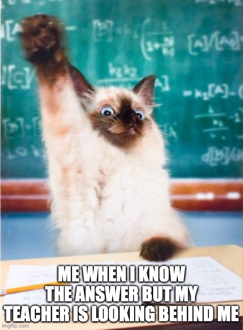 Overeager Student Cat | ME WHEN I KNOW THE ANSWER BUT MY TEACHER IS LOOKING BEHIND ME | image tagged in overeager student cat | made w/ Imgflip meme maker