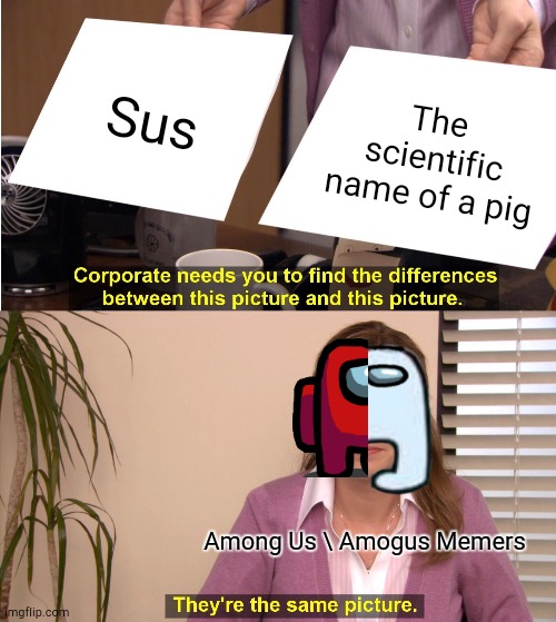 WARNING! DO NOT SEARCH SCIENTIFIC NAME OF PIG! REAL SUS HARAM SCROFA | Sus; The scientific name of a pig; Among Us \ Amogus Memers | image tagged in memes,they're the same picture | made w/ Imgflip meme maker
