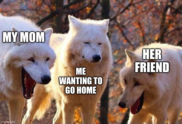 Laughing wolf | MY MOM; HER FRIEND; ME WANTING TO GO HOME | image tagged in laughing wolf | made w/ Imgflip meme maker
