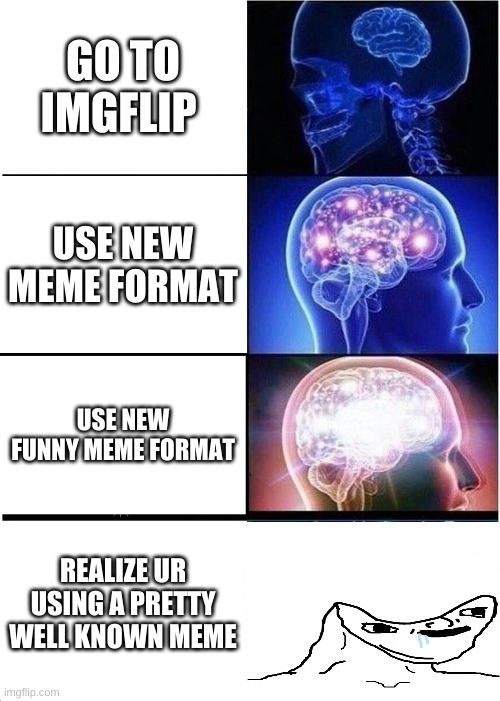 Expanding Brain | GO TO IMGFLIP; USE NEW MEME FORMAT; USE NEW FUNNY MEME FORMAT; REALIZE UR USING A PRETTY WELL KNOWN MEME | image tagged in memes,expanding brain | made w/ Imgflip meme maker
