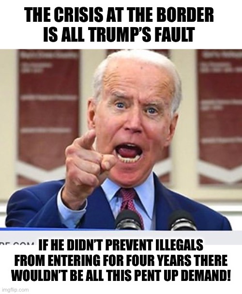 Always Orange Man’s fault | THE CRISIS AT THE BORDER 
IS ALL TRUMP’S FAULT; IF HE DIDN’T PREVENT ILLEGALS FROM ENTERING FOR FOUR YEARS THERE WOULDN’T BE ALL THIS PENT UP DEMAND! | image tagged in joe biden no malarkey,immigration | made w/ Imgflip meme maker
