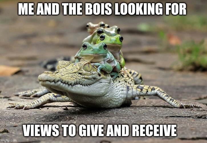 frog riding croc | ME AND THE BOIS LOOKING FOR; VIEWS TO GIVE AND RECEIVE | image tagged in frog riding croc | made w/ Imgflip meme maker