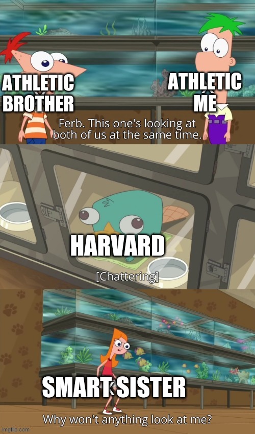 New template | ATHLETIC BROTHER; ATHLETIC ME; HARVARD; SMART SISTER | image tagged in memes,phineas and ferb | made w/ Imgflip meme maker