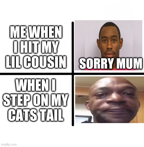 NOT MY CAT! | ME WHEN I HIT MY LIL COUSIN; SORRY MUM; WHEN I STEP ON MY CATS TAIL | image tagged in memes,blank starter pack | made w/ Imgflip meme maker