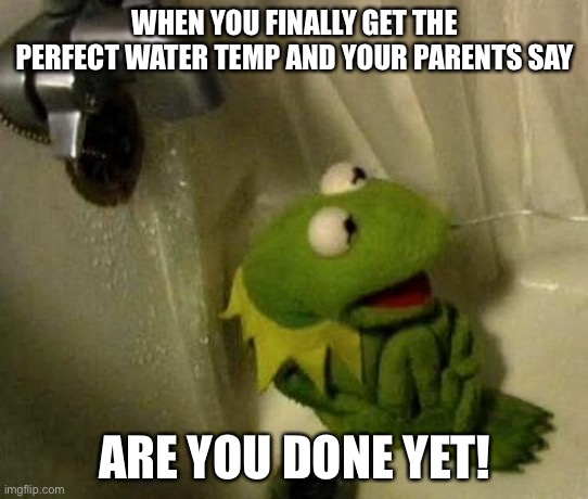 Kermit | WHEN YOU FINALLY GET THE PERFECT WATER TEMP AND YOUR PARENTS SAY; ARE YOU DONE YET! | image tagged in kermit on shower | made w/ Imgflip meme maker