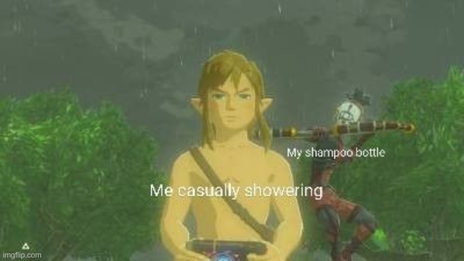 image tagged in botw,shower bottle | made w/ Imgflip meme maker
