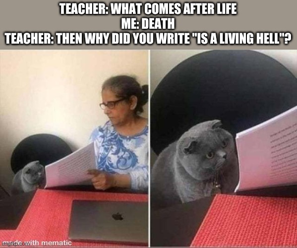 ... |  TEACHER: WHAT COMES AFTER LIFE
ME: DEATH
TEACHER: THEN WHY DID YOU WRITE "IS A LIVING HELL"? | image tagged in cat worksheet,dark humor,living hell | made w/ Imgflip meme maker