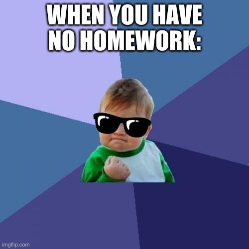 I wish this would happen |  WHEN YOU HAVE NO HOMEWORK: | image tagged in memes,success kid,school | made w/ Imgflip meme maker