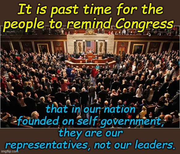I'm not following where this government is going. | It is past time for the people to remind Congress; that in our nation founded on self government, they are our representatives, not our leaders. | image tagged in congress | made w/ Imgflip meme maker