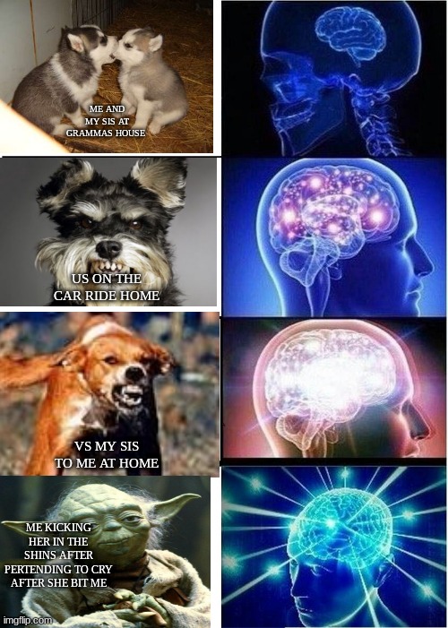 Expanding Brain | ME AND MY SIS AT GRAMMAS HOUSE; US ON THE CAR RIDE HOME; VS MY SIS TO ME AT HOME; ME KICKING HER IN THE SHINS AFTER PERTENDING TO CRY AFTER SHE BIT ME | image tagged in memes,expanding brain | made w/ Imgflip meme maker