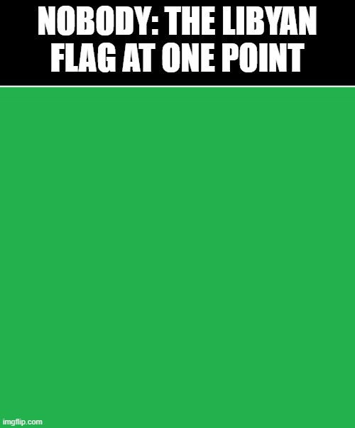 That's basically there flag at one point |  NOBODY: THE LIBYAN FLAG AT ONE POINT | image tagged in green screen,lybia | made w/ Imgflip meme maker