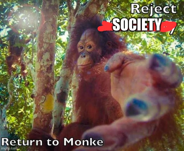 Return to monke | SOCIETY | image tagged in return to monke | made w/ Imgflip meme maker