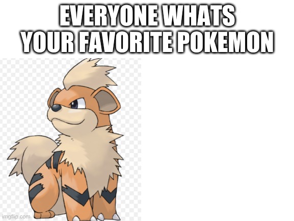 Blank White Template | EVERYONE WHATS YOUR FAVORITE POKEMON | image tagged in blank white template | made w/ Imgflip meme maker