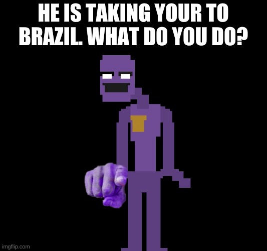 uh oh. | HE IS TAKING YOUR TO BRAZIL. WHAT DO YOU DO? | image tagged in memes,funny,brazil,purple guy,fnaf | made w/ Imgflip meme maker