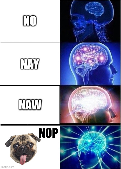 Expanding Brain | NO; NAY; NAW; NOP | image tagged in memes,expanding brain | made w/ Imgflip meme maker