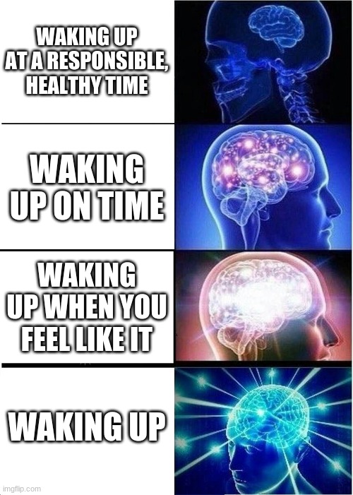 school: | WAKING UP AT A RESPONSIBLE, HEALTHY TIME; WAKING UP ON TIME; WAKING UP WHEN YOU FEEL LIKE IT; WAKING UP | image tagged in memes,expanding brain | made w/ Imgflip meme maker