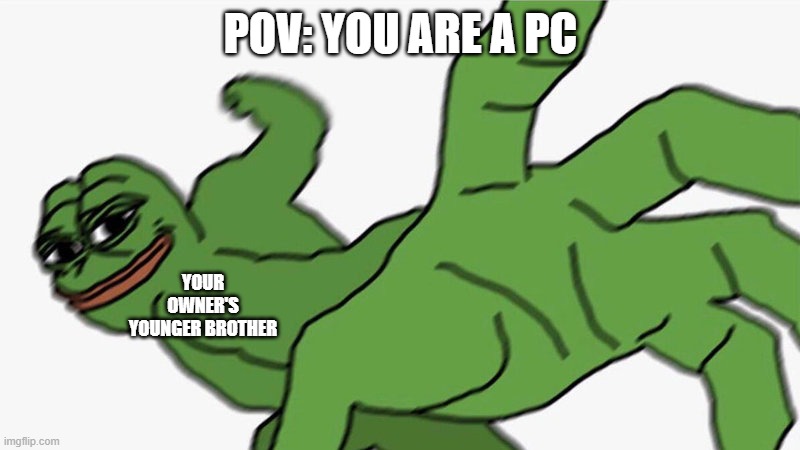 punch pepe | POV: YOU ARE A PC YOUR OWNER'S YOUNGER BROTHER | image tagged in punch pepe | made w/ Imgflip meme maker