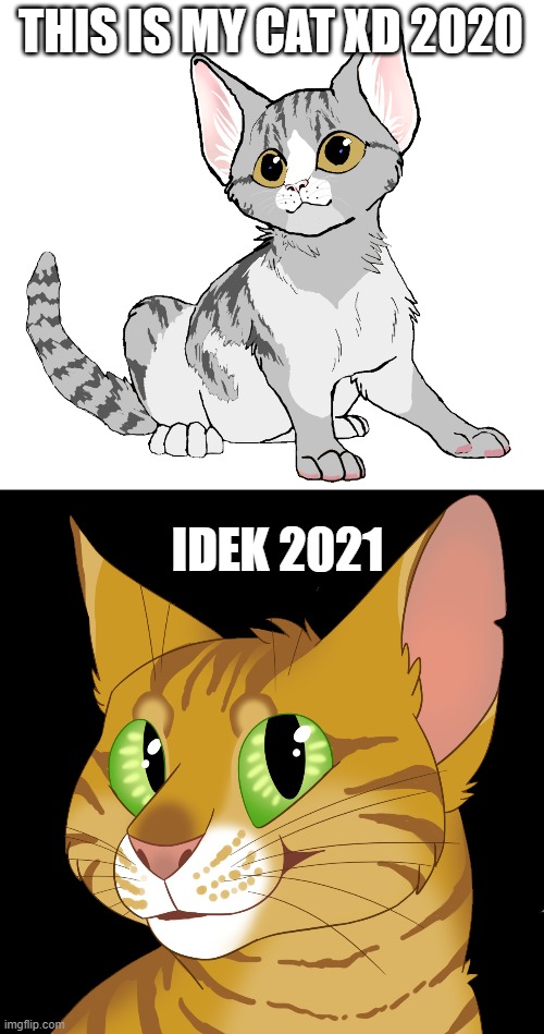 Oki the cats first | THIS IS MY CAT XD 2020; IDEK 2021 | made w/ Imgflip meme maker