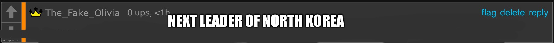 The fake Olivia I’m gonna make Paper Mario real | NEXT LEADER OF NORTH KOREA | image tagged in the fake olivia i m gonna make paper mario real | made w/ Imgflip meme maker