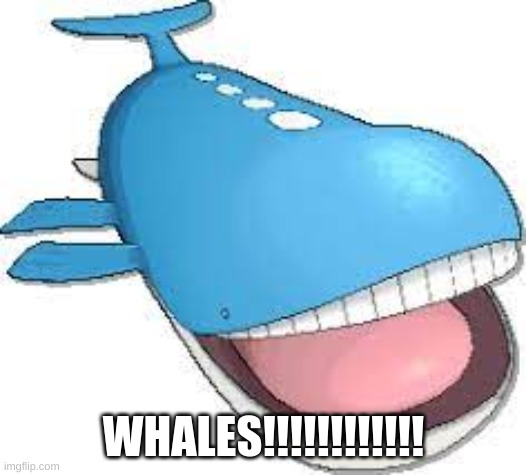 WHALES!!!!!!!!!!!! | made w/ Imgflip meme maker