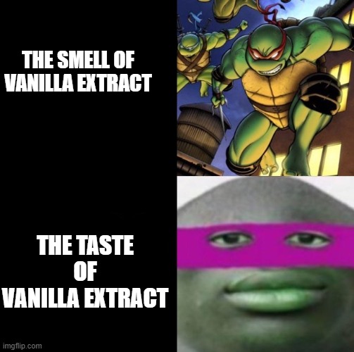 TMNT | THE SMELL OF VANILLA EXTRACT; THE TASTE OF VANILLA EXTRACT | image tagged in teenage mutant ninja turtles,bad taste,smell | made w/ Imgflip meme maker