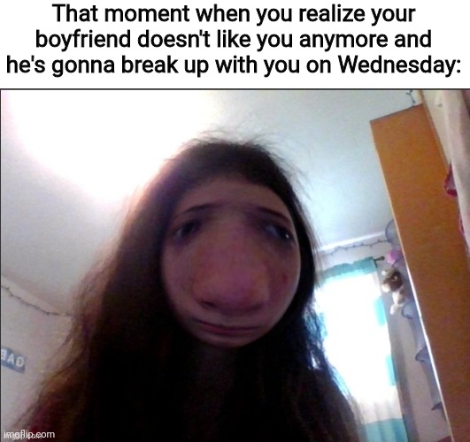 True story | That moment when you realize your boyfriend doesn't like you anymore and he's gonna break up with you on Wednesday: | image tagged in lmao | made w/ Imgflip meme maker