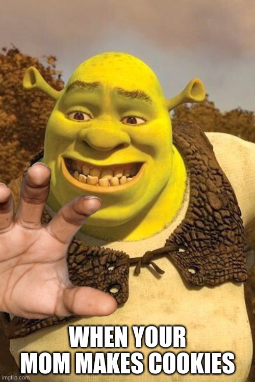 Smiling Shrek |  WHEN YOUR MOM MAKES COOKIES | image tagged in smiling shrek | made w/ Imgflip meme maker