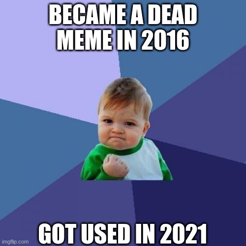 Success Kid | BECAME A DEAD MEME IN 2016; GOT USED IN 2021 | image tagged in memes,success kid | made w/ Imgflip meme maker