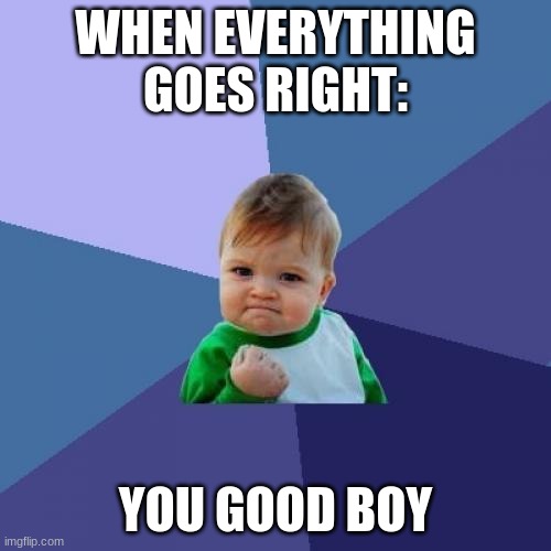 when everything goes right: | WHEN EVERYTHING GOES RIGHT:; YOU GOOD BOY | image tagged in memes,success kid,kids,funny,funny memes,good memes | made w/ Imgflip meme maker