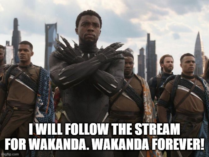 WAKANDA FOREVER | I WILL FOLLOW THE STREAM FOR WAKANDA. WAKANDA FOREVER! | image tagged in wakanda forever | made w/ Imgflip meme maker