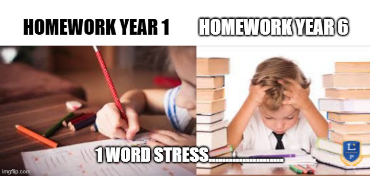 stress | HOMEWORK YEAR 1; HOMEWORK YEAR 6; 1 WORD STRESS...................... | image tagged in memes | made w/ Imgflip meme maker