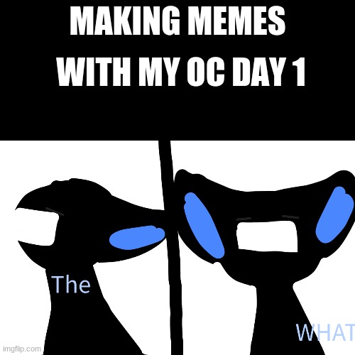 Making memes with my oc day 1 | WITH MY OC DAY 1; MAKING MEMES | image tagged in the what | made w/ Imgflip meme maker