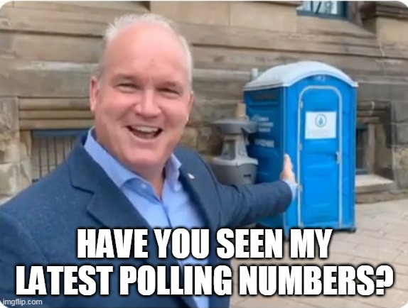 old tool | HAVE YOU SEEN MY LATEST POLLING NUMBERS? | image tagged in old tool,erin o'toole,canadian politics,cpc | made w/ Imgflip meme maker