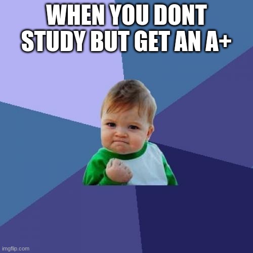 Success Kid | WHEN YOU DONT STUDY BUT GET AN A+ | image tagged in memes,success kid | made w/ Imgflip meme maker