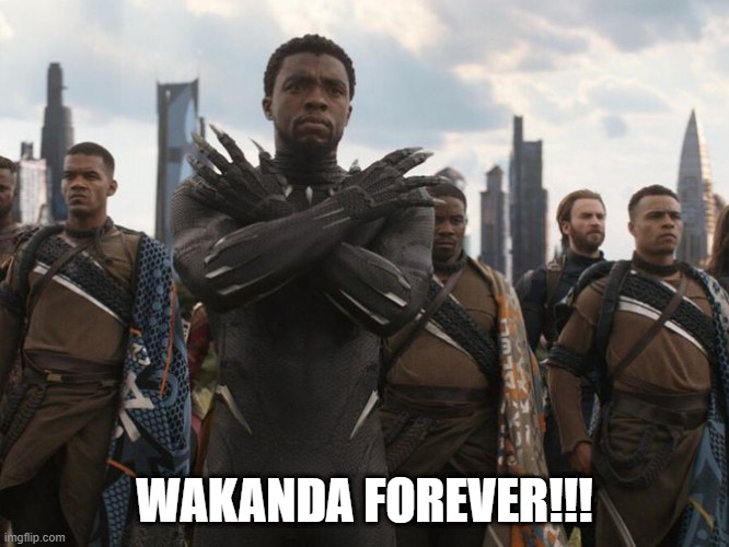 WAKANDA FOREVER | WAKANDA FOREVER!!! | image tagged in wakanda forever | made w/ Imgflip meme maker