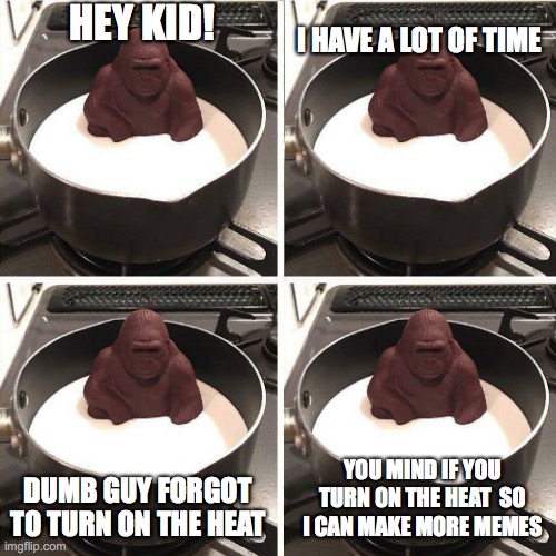 Wait... WHAT | HEY KID! I HAVE A LOT OF TIME; DUMB GUY FORGOT TO TURN ON THE HEAT; YOU MIND IF YOU TURN ON THE HEAT  SO I CAN MAKE MORE MEMES | image tagged in gorilla not melting,funny,funny animals | made w/ Imgflip meme maker