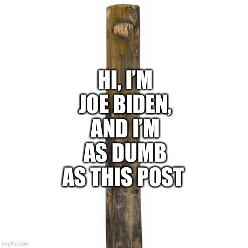 Joe Biden Post | HI, I’M JOE BIDEN, AND I’M AS DUMB AS THIS POST | image tagged in joe biden,post,dumb,stupid | made w/ Imgflip meme maker