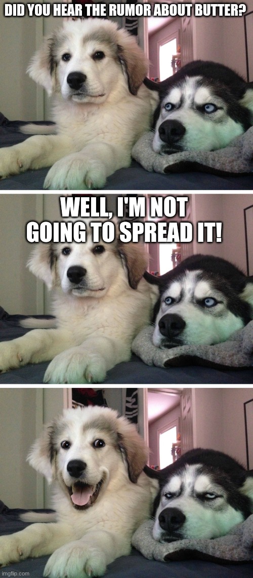 Butter | DID YOU HEAR THE RUMOR ABOUT BUTTER? WELL, I'M NOT GOING TO SPREAD IT! | image tagged in bad pun dogs | made w/ Imgflip meme maker