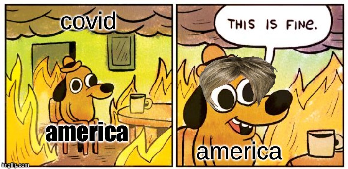 This Is Fine | covid; america; america | image tagged in memes,this is fine | made w/ Imgflip meme maker