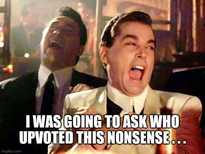 Laughing hysterically | I WAS GOING TO ASK WHO UPVOTED THIS NONSENSE . . . | image tagged in laughing hysterically | made w/ Imgflip meme maker