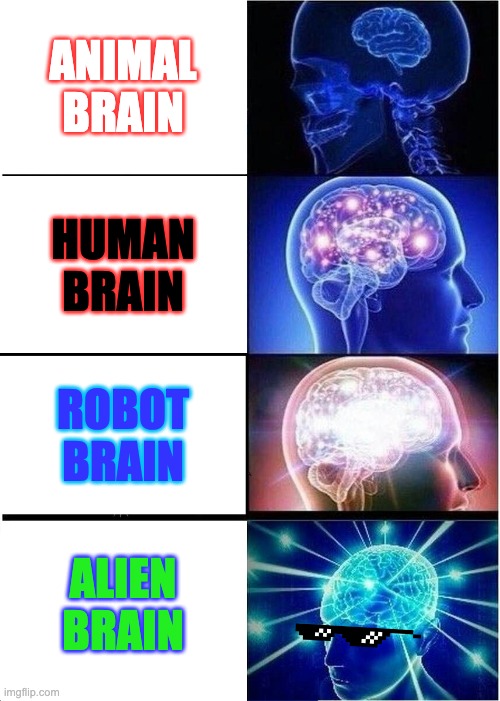 Brain's | ANIMAL BRAIN; HUMAN BRAIN; ROBOT BRAIN; ALIEN BRAIN | image tagged in memes,expanding brain | made w/ Imgflip meme maker