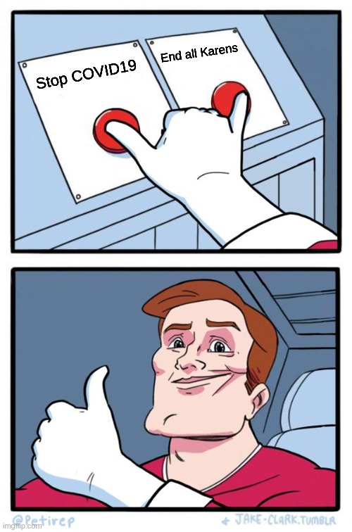 :) | End all Karens; Stop COVID19 | image tagged in both buttons pressed | made w/ Imgflip meme maker