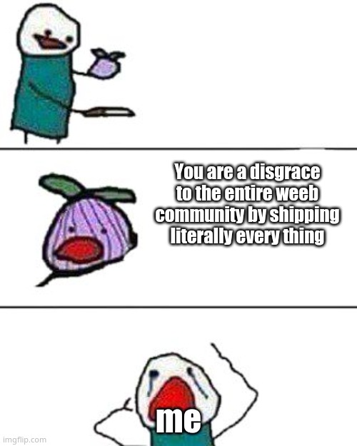 this onion won't make me cry | You are a disgrace to the entire weeb community by shipping literally every thing; me | image tagged in this onion won't make me cry | made w/ Imgflip meme maker