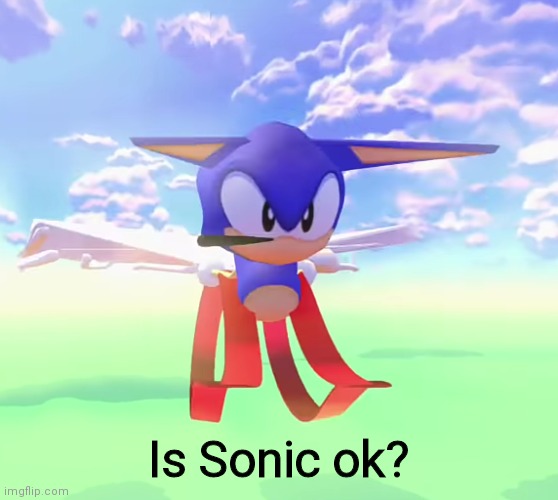 Help | Is Sonic ok? | image tagged in plz | made w/ Imgflip meme maker