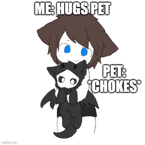 my first pet | ME: HUGS PET; PET: *CHOKES* | image tagged in funny memes | made w/ Imgflip meme maker